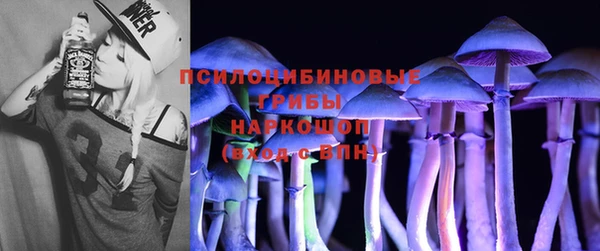 прущий лед Вяземский