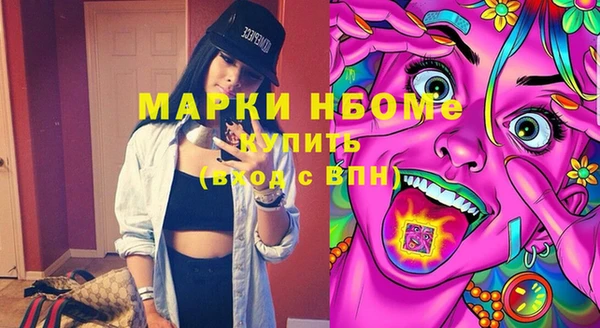 прущий лед Вяземский