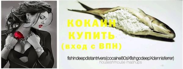 прущий лед Вяземский
