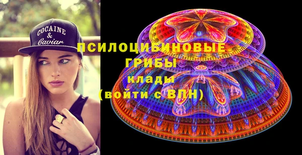 прущий лед Вяземский