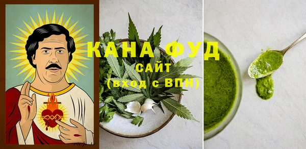 прущий лед Вяземский