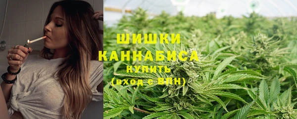 прущий лед Вяземский