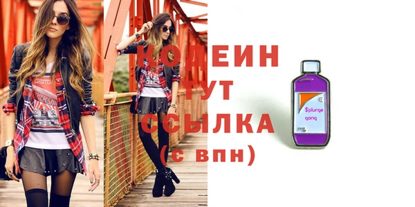 прущий лед Вяземский
